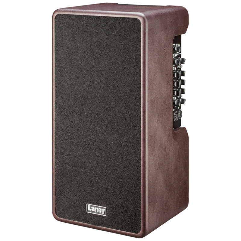 Laney A-Duo 120-watt 2 x 8-inch Acoustic Combo Amplifier