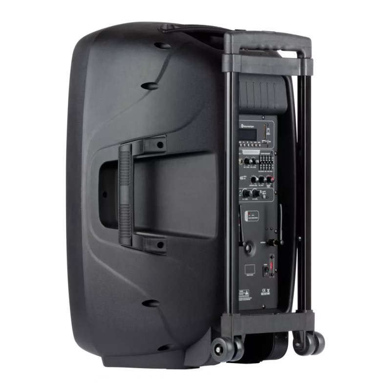 Italian Stage FR15AW V2 Battery Powered Portable Speaker with Wireless Microphones