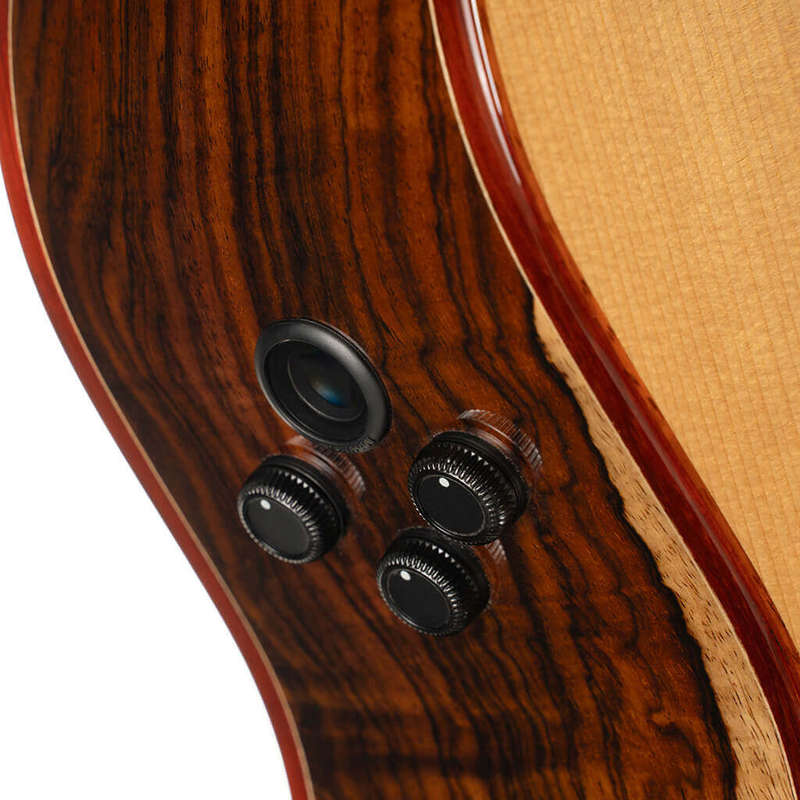 Cort Gold A10 Cocobolo Acoustic-electric w/Case