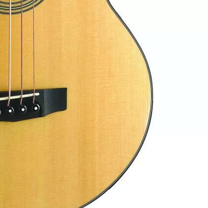 Cort SJB5F Acoustic/Electric Bass Guitar with Gig Bag