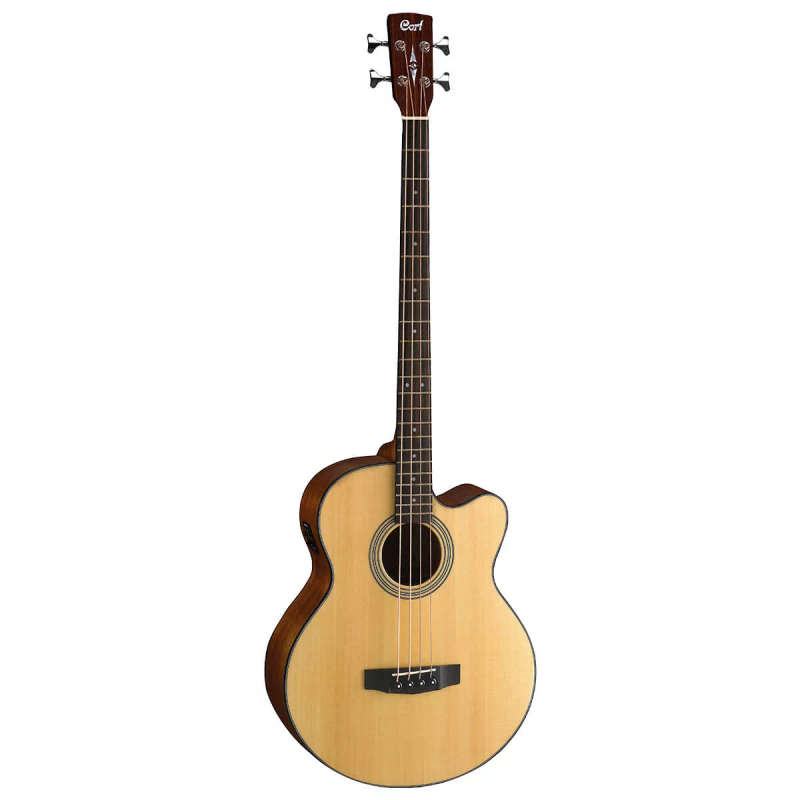 Cort SJB5F Acoustic/Electric Bass Guitar with Gig Bag