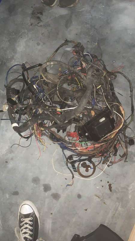 Vw Golf 1 Velocity Wiring Loom/ Harness