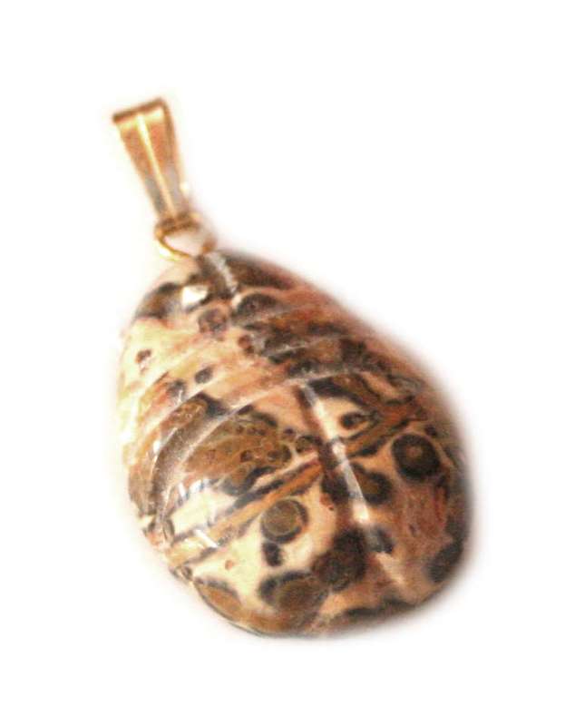 Leopard jasper scarab. 16x22mm. Gold coloured bail.