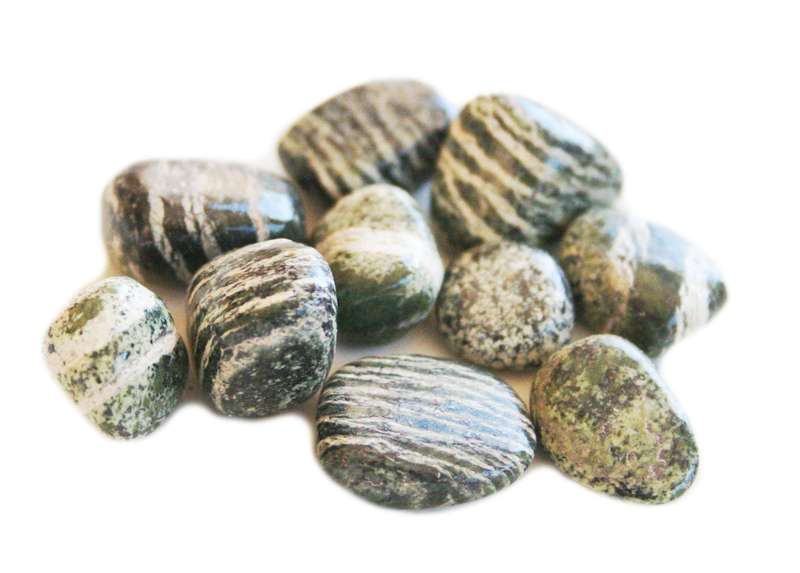 Green Zebra Jasper tumble, 10 - 15mm