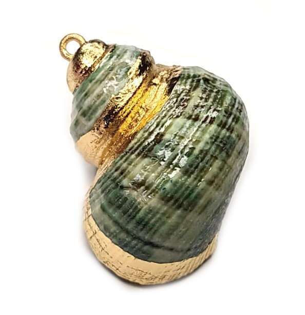 Green turbo shell w gold trim pendant, 35-45mm
