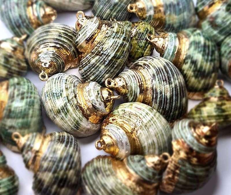Green turbo shell w gold trim pendant, 35-45mm