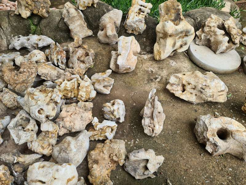 Dino Calcite, Assorted sizes