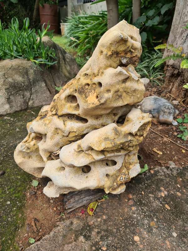 Dino Calcite, Assorted sizes
