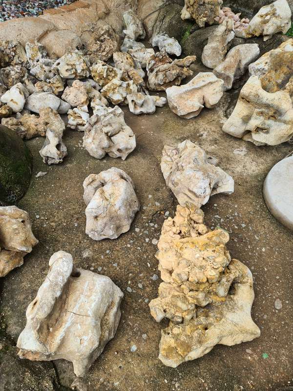 Dino Calcite, Assorted sizes