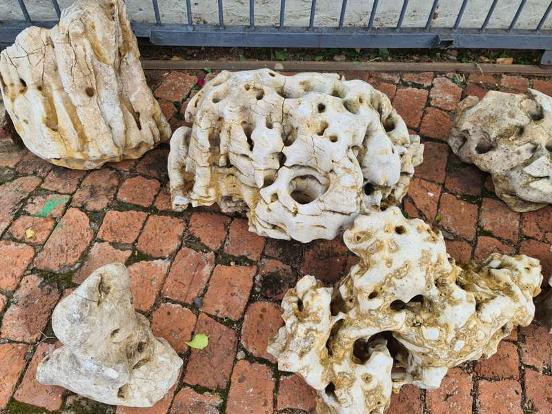 Dino Calcite, Assorted sizes