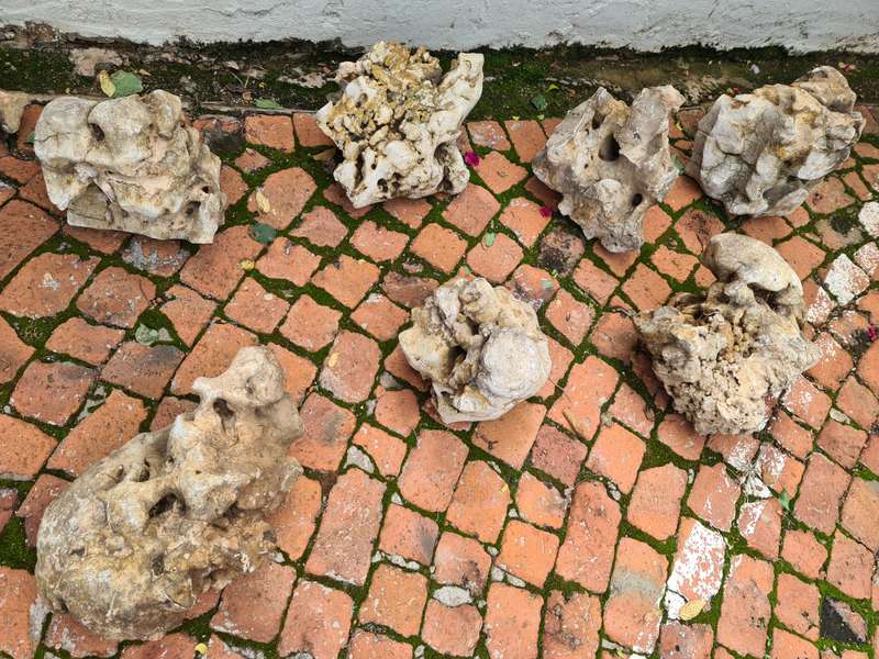 Dino Calcite, Assorted sizes