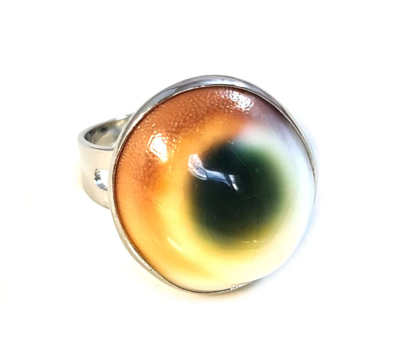 Shell dress ring, adjustable