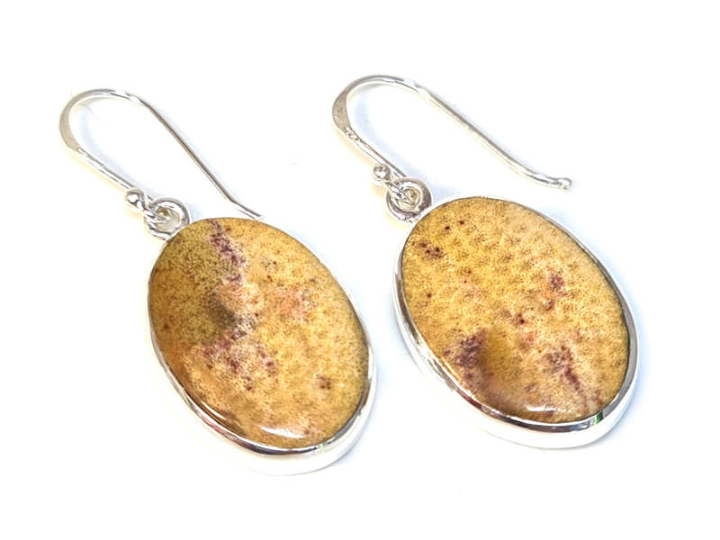 Fossil Jasper cabochon earrings in 925 silver, oval, 38mm
