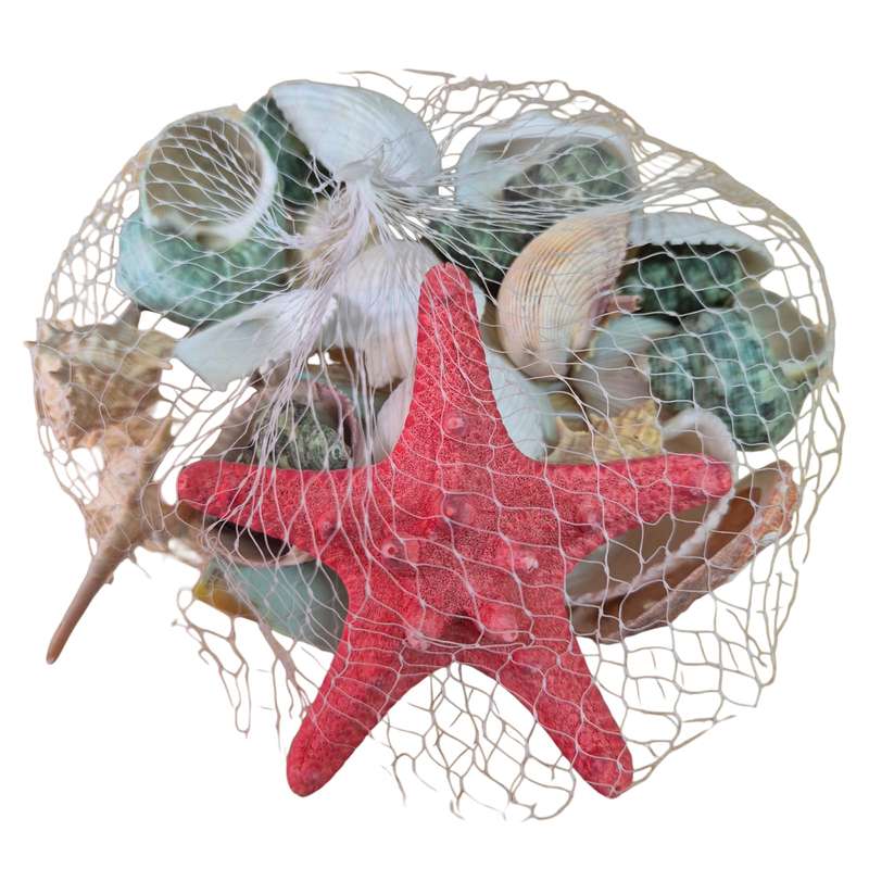 Natural sea shells, bag, assorted