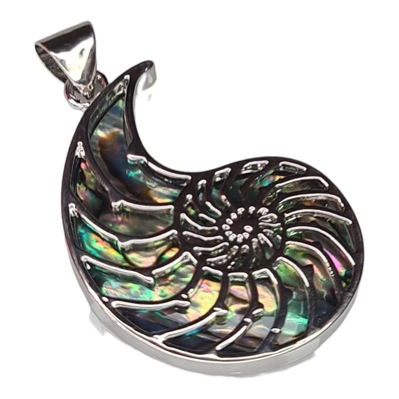 Paua shell Ammonite pendant, 52mm incl. bail