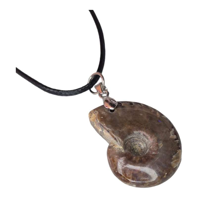 Ammonite fossil necklace, black string, 45cm