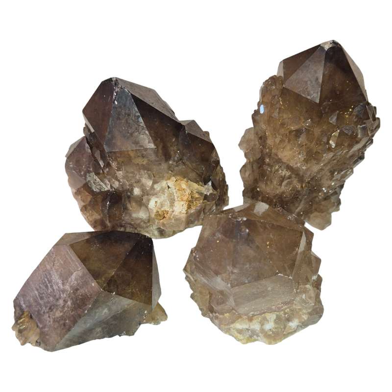 Natural dark Citrine point clusters, Congo, 55-70mm