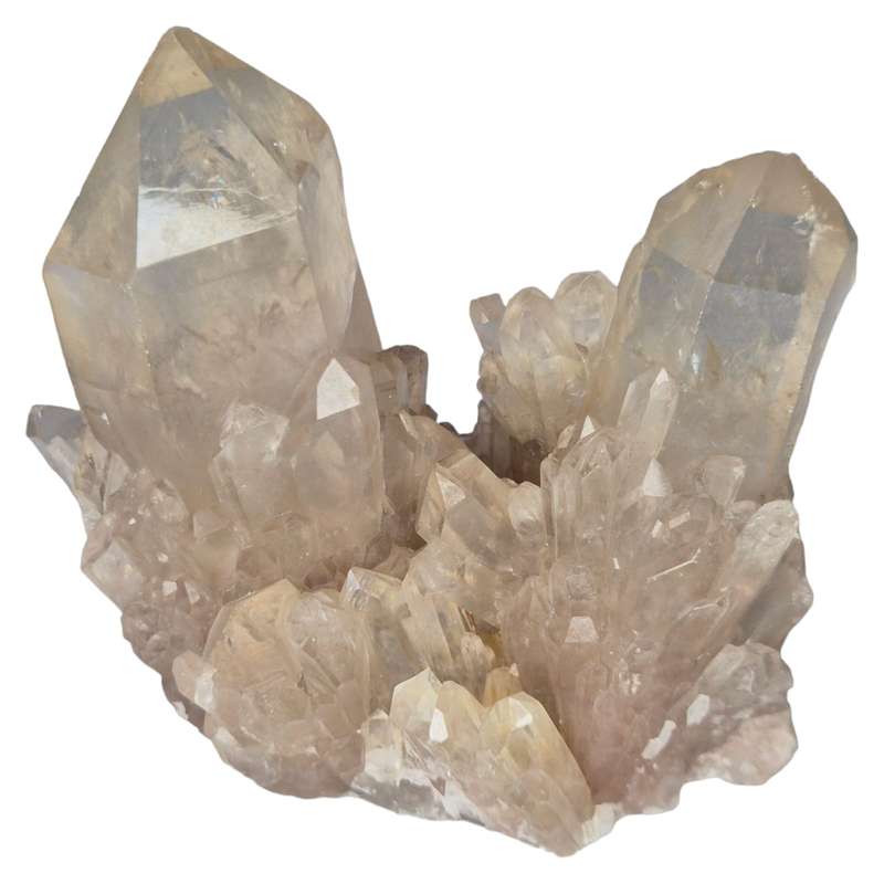 Citrine point cluster, Congo, 80mm