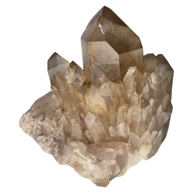 Citrine point cluster, Congo, 55mm