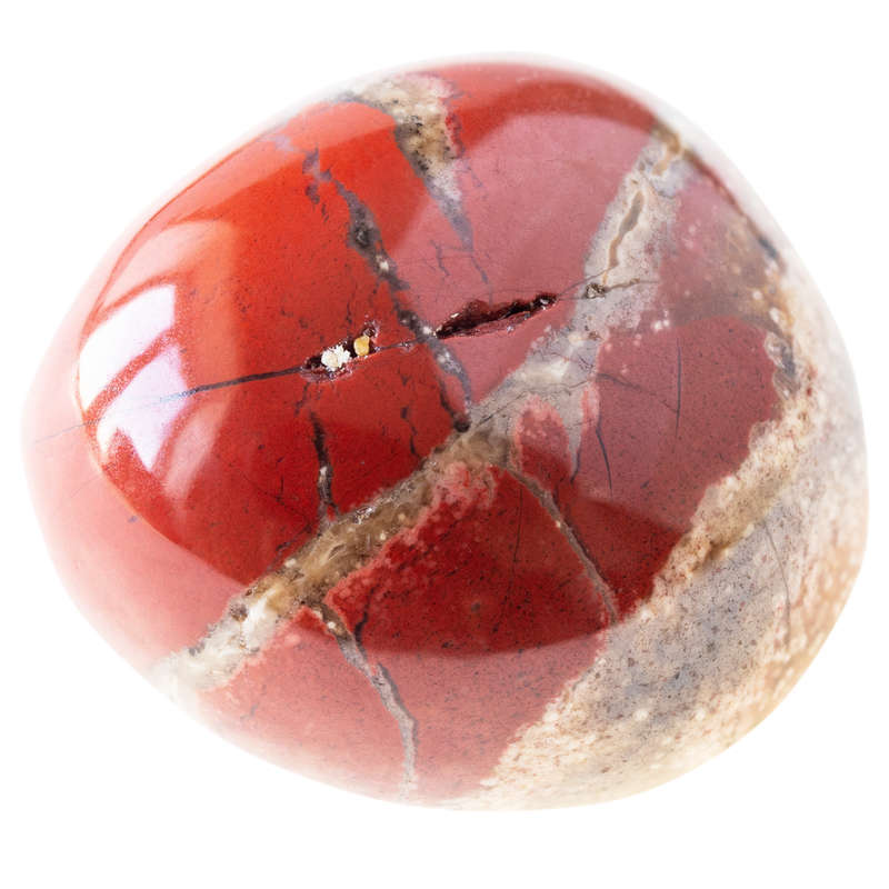 Jasper tumble LRG