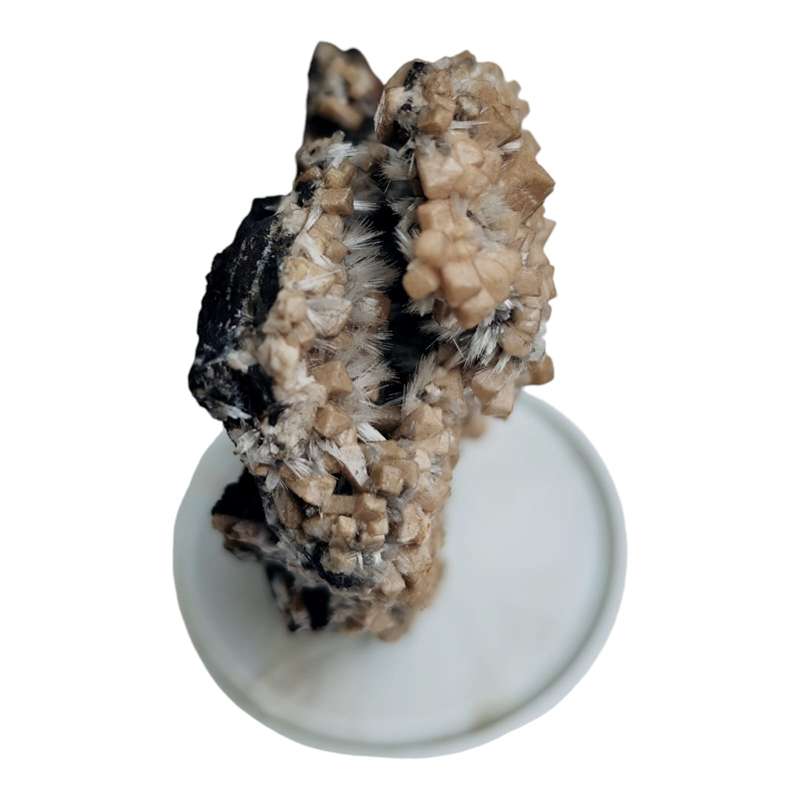 Bultfonteinite and poldervaartite 53mm
