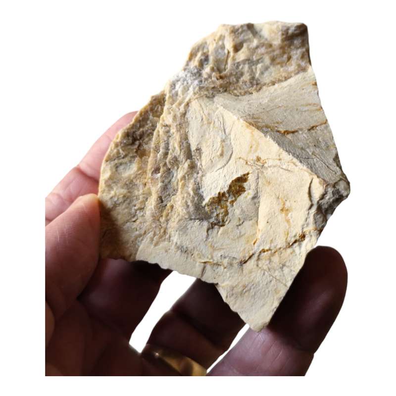 Rough Yellow Jasper, 5-7cm