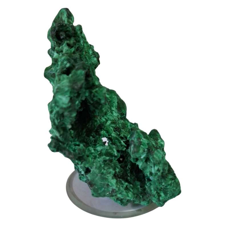 Fibrous Malachite, DRC, 6.2 x 4 x 3cm