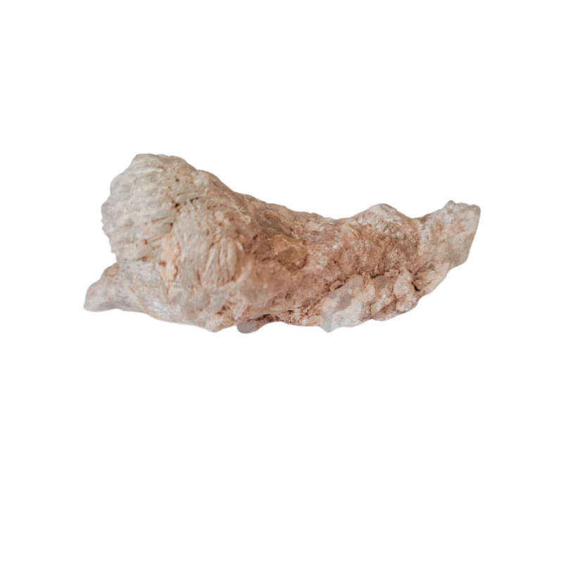 Rare Prehnite, Bondelswarts Farm in Southern Namibia, 6.7 x 2.5 x 2.3cm