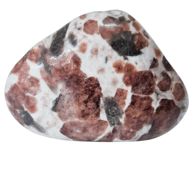Wollastonite Tumble, 2-6cm