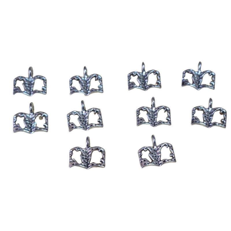 10 x Armour of God charm, Bible, nickel free, 14mm