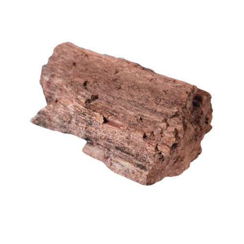 Rough Petrified wood, 6.3 x 4.9 x 3.1cm