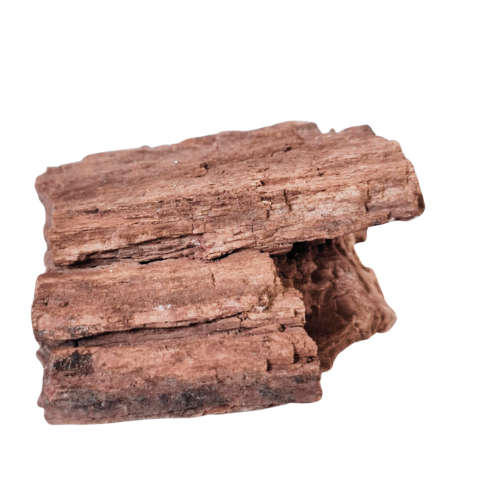 Rough Petrified wood, 6.3 x 4.9 x 3.1cm