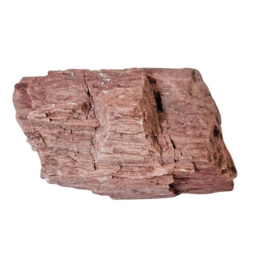 Rough Petrified wood, 6.3 x 4.9 x 3.1cm