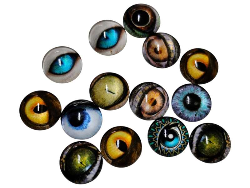 Pair of dome assorted eyes, 10mm in diameter, assorted colours
