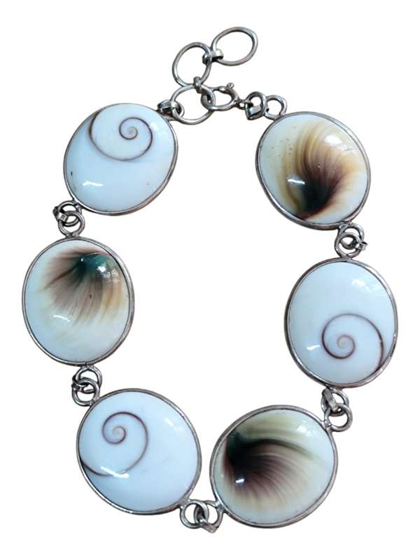 Shiva shell bracelet, 925 silver senorita clasp, 1.7 x 20.9cm