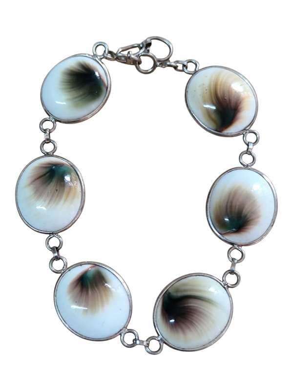 Shiva shell bracelet, 925 silver senorita clasp, 1.7 x 20.9cm