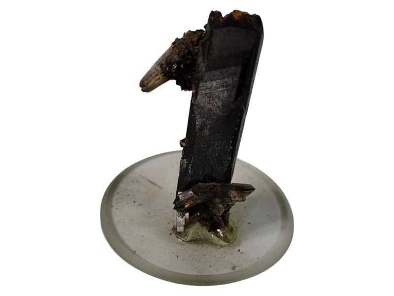 Aegerine, Smoky quartz points and tiny pieces of Feldspar, Zomba in Malawi, 1.9 x 1.1 x 4.8cm, 15...