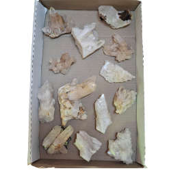 Clear Quartz cluster, Ceres in Western Cape, 100-299grams
