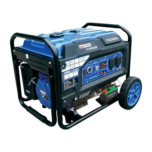 ENTECH GENERATOR 9.0KVA ELEC LRP 8500D   GEN1060