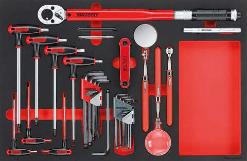TENG TOOLS - 17PC Hexagon Key, Torque Wrench And Inspection Tool Set -  TTEX17
