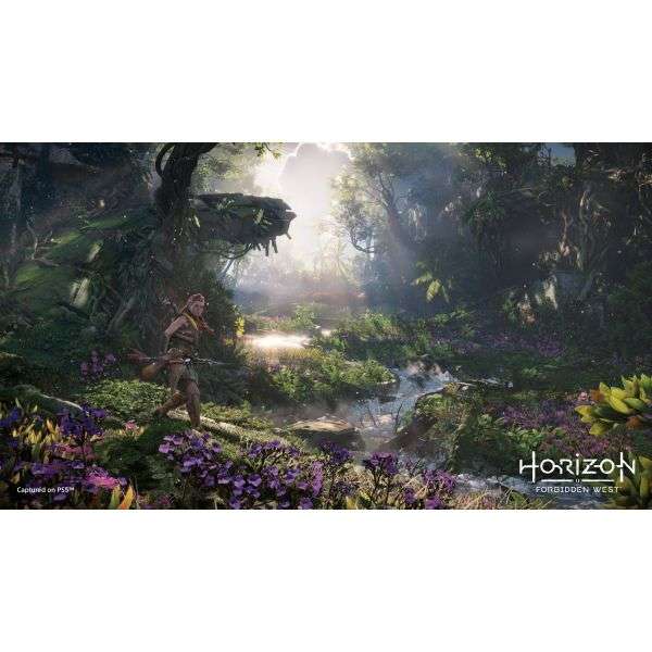 Horizon Forbidden West