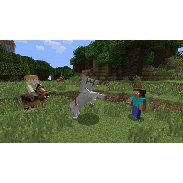 Minecraft (NS)