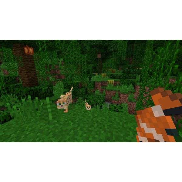 Minecraft (NS)