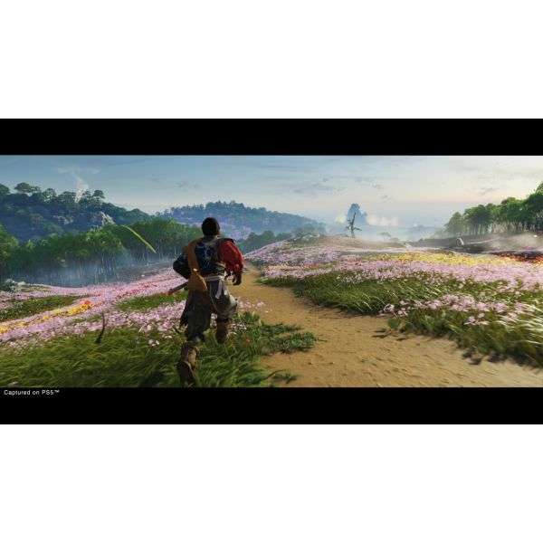 Ghost Of Tsushima Directors Cut Remastered (PS5)