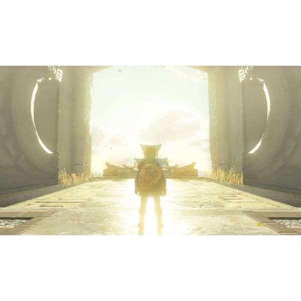 The Legend Of Zelda Tears Of The Kingdom (NS)