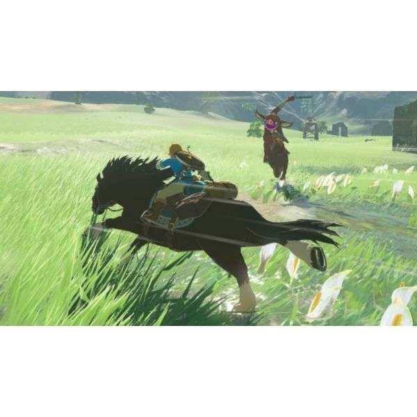 The Legend of Zelda Breath of The Wild (NS)