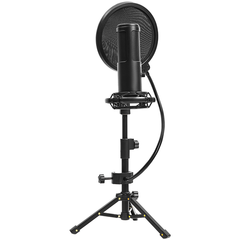 Lorgar Voicer 721 Gaming Microphone
