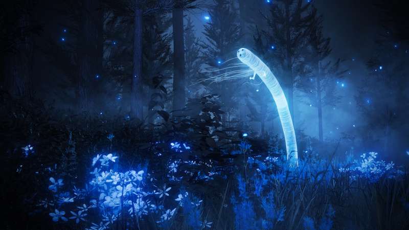 Elden Ring Shadow Of The Erdtree Edition