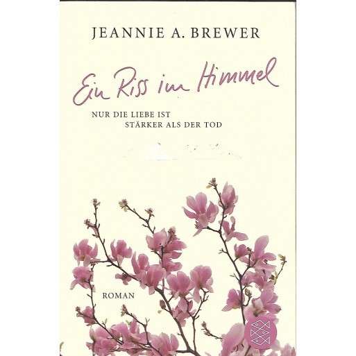 Ein Riss Im Himmel - Brewer, Jeannie 0.40kg