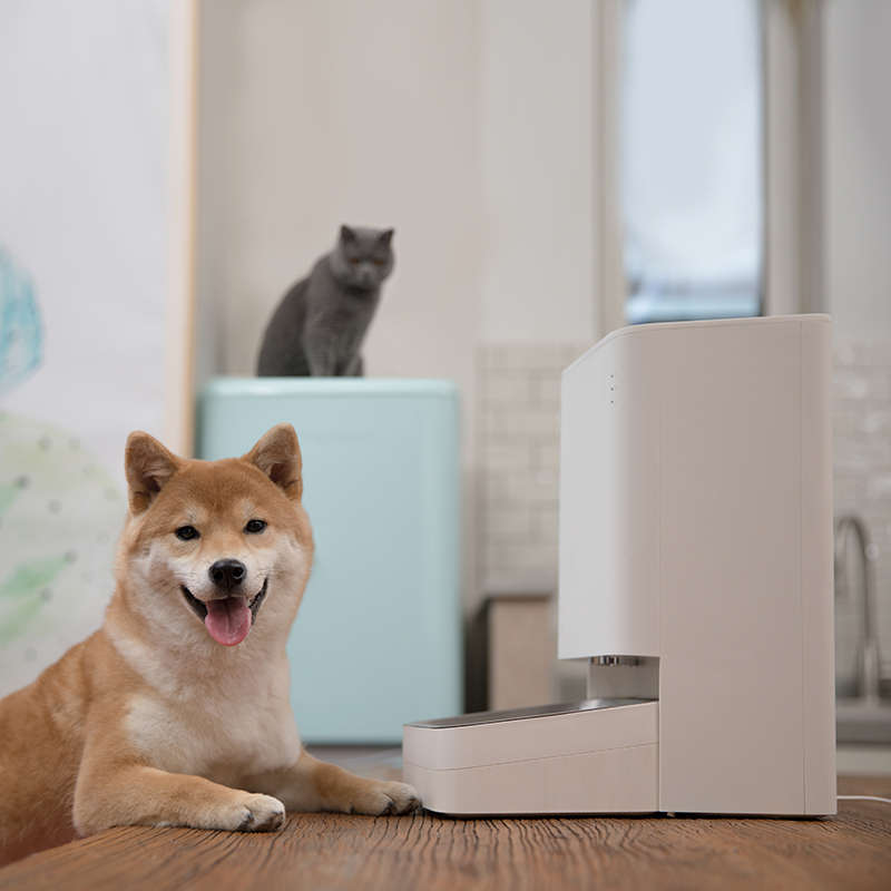 XIAOMI SMART PET FOOD  FEEDER
